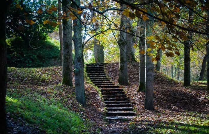 Medio Ambiente Siero
