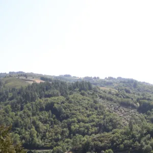 Medio Ambiente Siero