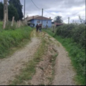 El mal estado de diversos caminos de Siero dificulta el acceso a sus viviendas a muchas familias