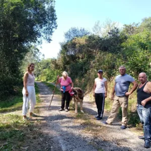 Abandono de las carreteras de la Zona Rural de Siero